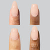 19 Hard BIAB™ TPO & Hema-Free