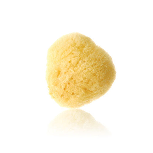 Natural Sea Sponge