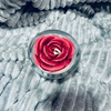 Rose Soy candle | Merlot