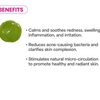 Green Tea Tree | Professional Hydrojelly® Mask