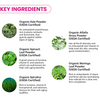 Super Greens Strength | Professional Hydrojelly® Mask