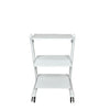 Elite Salon Trolley