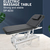 Deluxe Electric Salon Bed