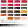 Micro-pigmentation (Machine) pigment 10ml (LAST STOCK)