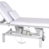Deluxe Electric Salon Bed
