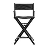 Hollywood Pro Make-up chair