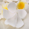Frangipani foam flower (each) - i-Spa 