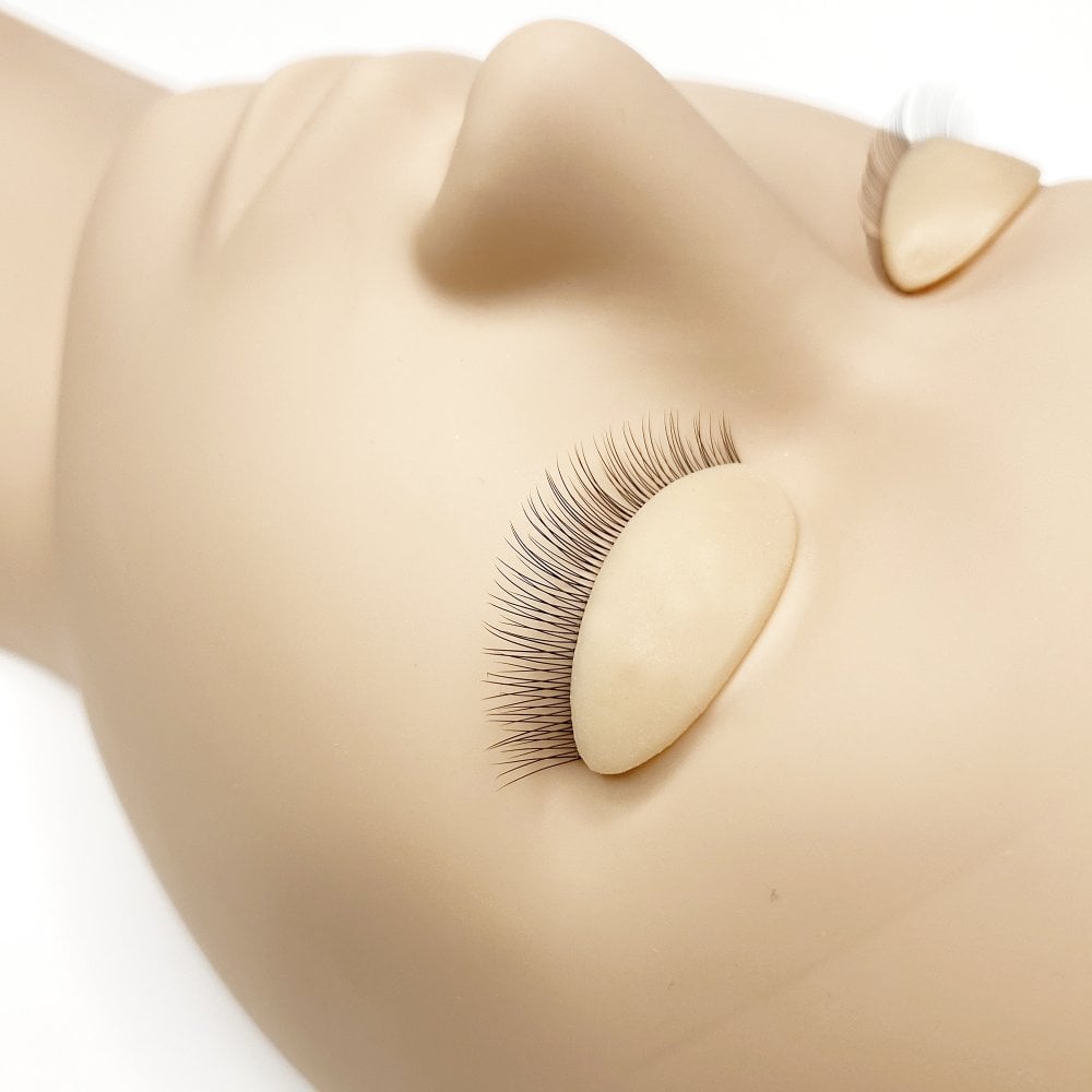 Prestige Eyelash Mannequin Training Head